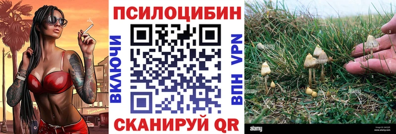 Галлюциногенные грибы мицелий  Североуральск 