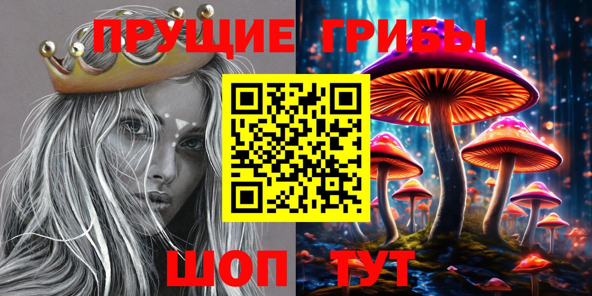 Псилоцибиновые грибы Psilocybine cubensis  Вход с VPN  Североуральск 