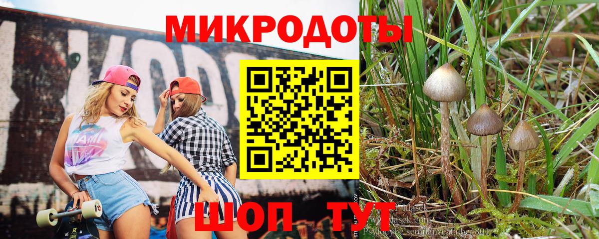 Псилоцибиновые грибы GOLDEN TEACHER Североуральск